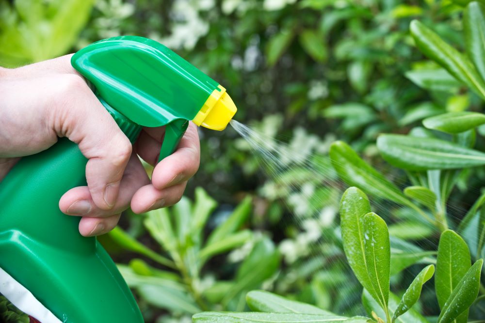 How To Keep Pests Of Out The Garden - Natural Insecticides