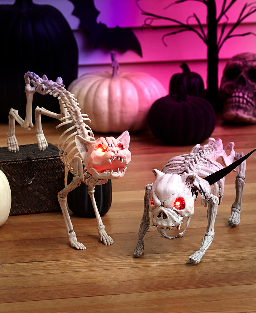 Scary Halloween Decorations - Barking Dog or Meowing Cat Skeleton